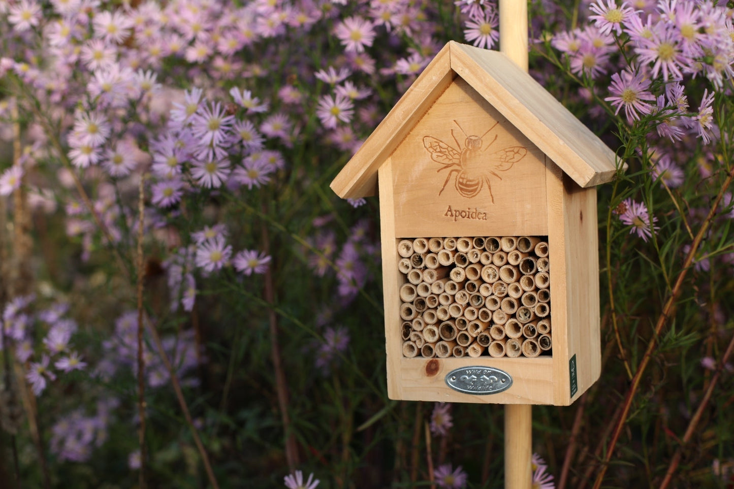 Bee House Silhouette